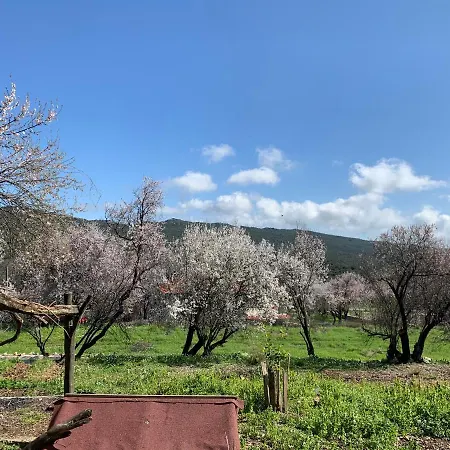 Bademlique Stone House Kaş