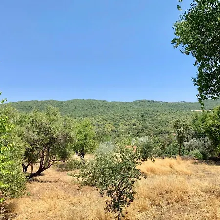 Bademlique Stone House Vila Kaş